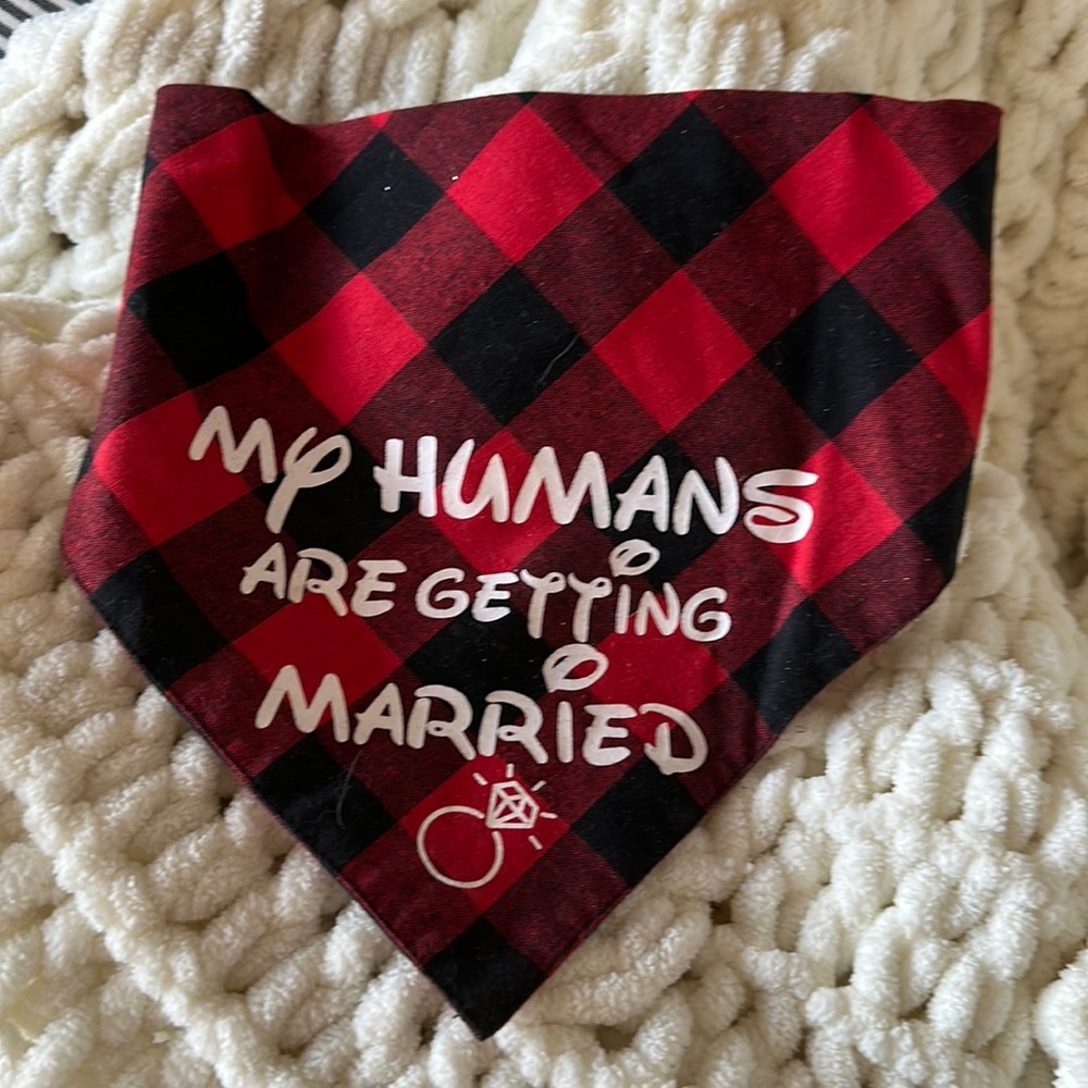 Red and Black Dog Bandana - Wedding Announcement